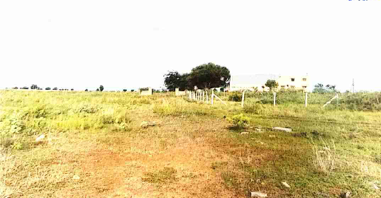 course